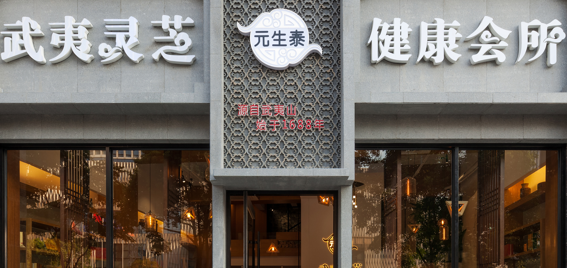 武夷灵芝